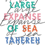 A Very Large Expanse of Sea
