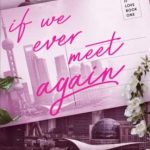 If We Ever Meet Again