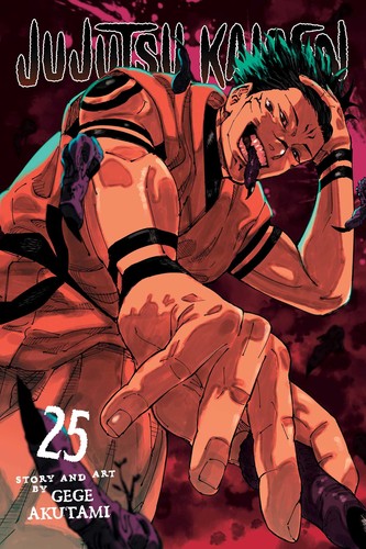 Jujutsu kaesien 25
