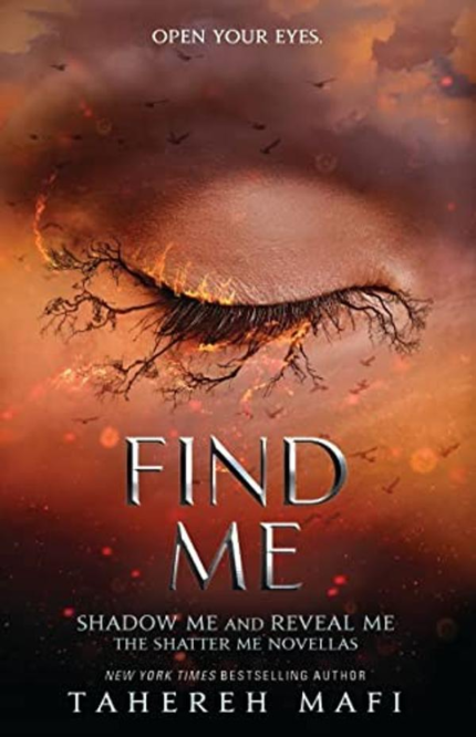 Find Me book cover