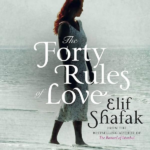 Forty Rules of Love
