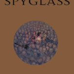 The Amber Spyglass Philippunan