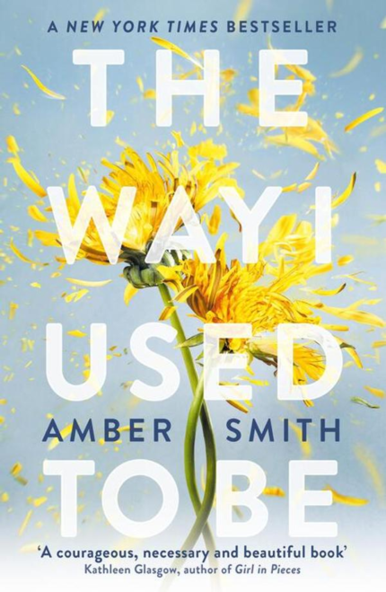 The Way I Used to Be book cover