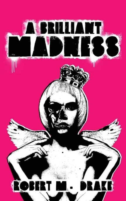 A Brilliant Madness book cover
