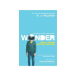 Wonder Movie