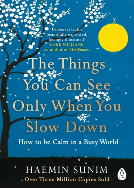 THE THINGS YOU CAN SEE ONLY WHEN YOU SLOW DOWN HAEMIN SUNIM