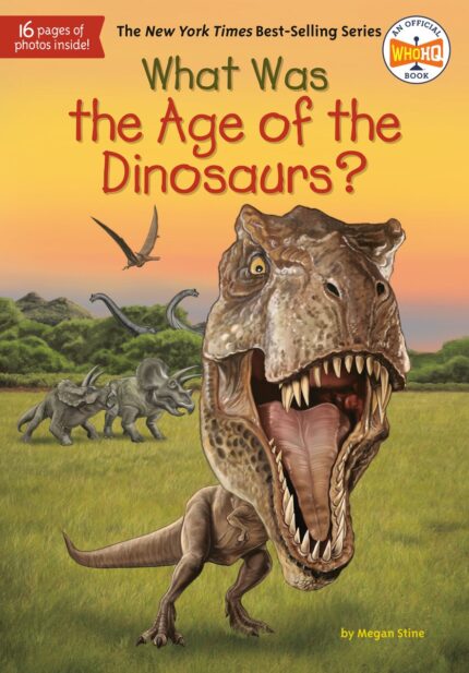 WHAT WAS THE AGE OF THE DINOSAURS