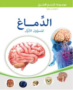 موسوعة الجسم البشري: الدماغ – المسؤول الأول