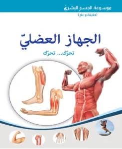 موسوعة الجسم البشري: الجهاز العضلي – تحرّك… تحرّك