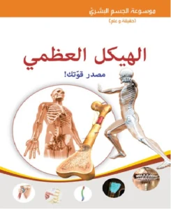 موسوعة الجسم البشري: الهيكل العظمي – مصدر قوتك